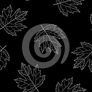 Seamless pattern autumn maple leaves black background vector illustration